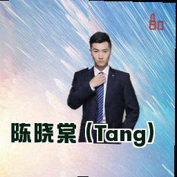 陈晓棠 (Tang)